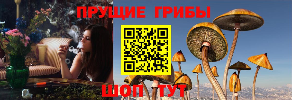 Псилоцибиновые грибы GOLDEN TEACHER  Вход с VPN  Острогожск 